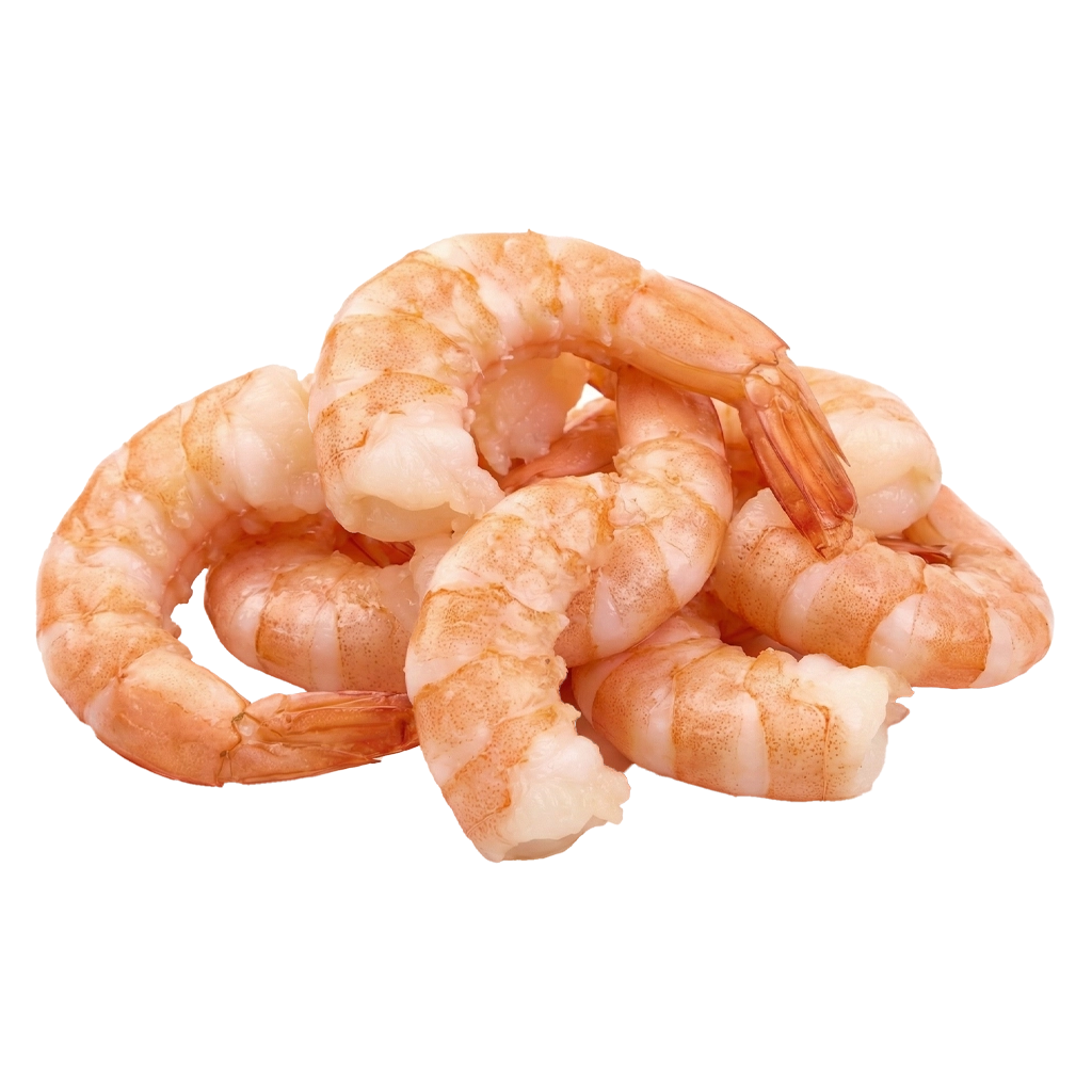 Shrimp